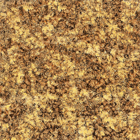 金艾陶2.0厚微晶石:淺金啡KFB88012單片