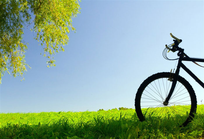 即便是春風(fēng)十里，依然不如你